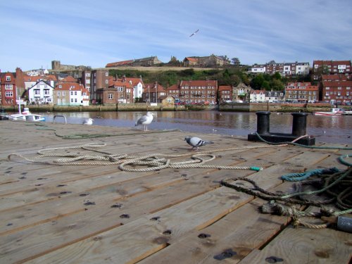 Whitby Harbour October 2010