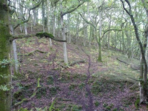 Quantock Hills