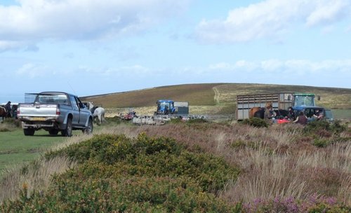 Quantock Hills