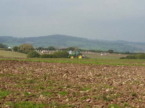 Coast Path