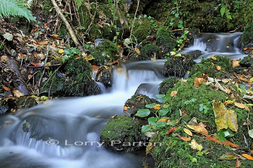 The falls