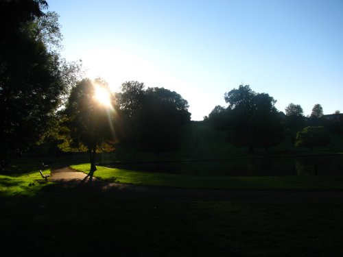 Sunlight on a Path