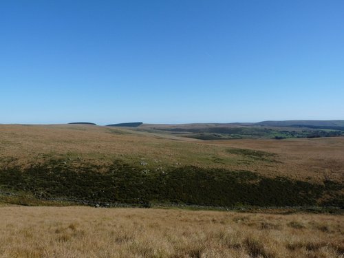 Dartmoor