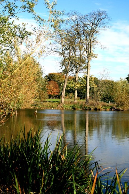 The Lake at Nidd.