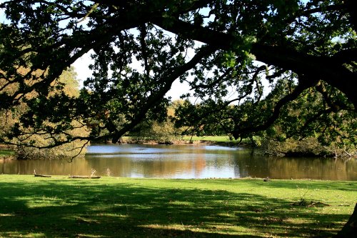 The Lake at Nidd.