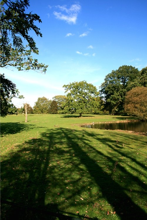 Parkland At Nidd.