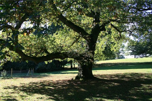 Parkland At Nidd.