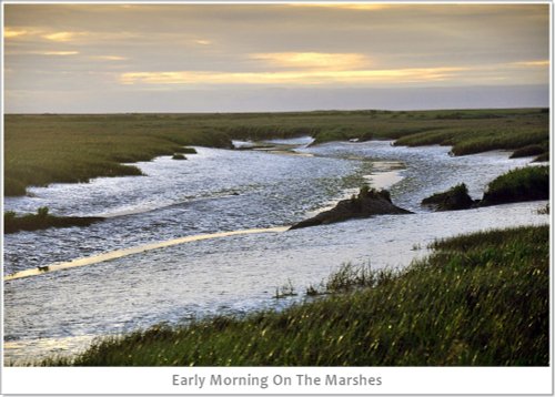 Marshes