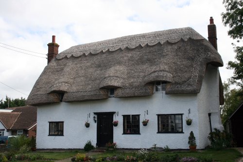 Thatched cottage