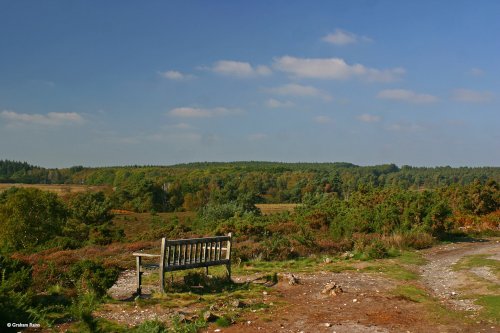 Arne in Dorset