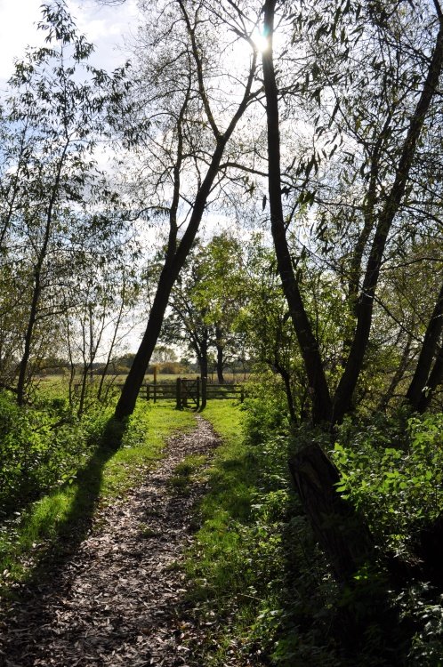 Cossington Meadows