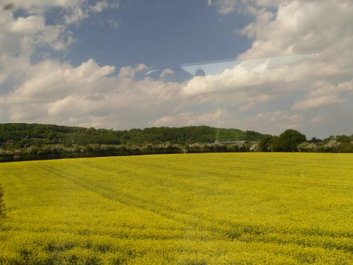 Countryside near Ledbury