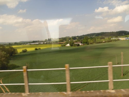 Beautiful countryside near Ledbury (a view from the train)