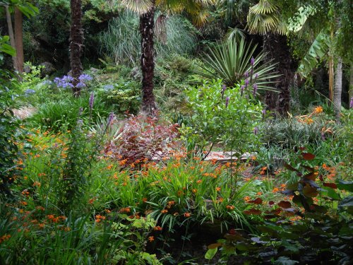 The tropical border at Oldway Mansion.