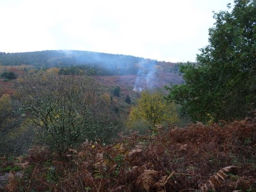 Quantock Hills