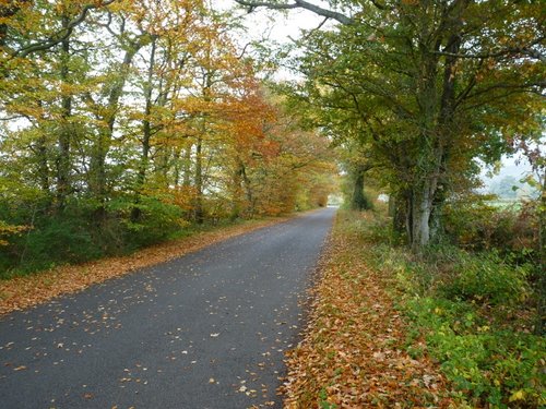 Quantock Hills