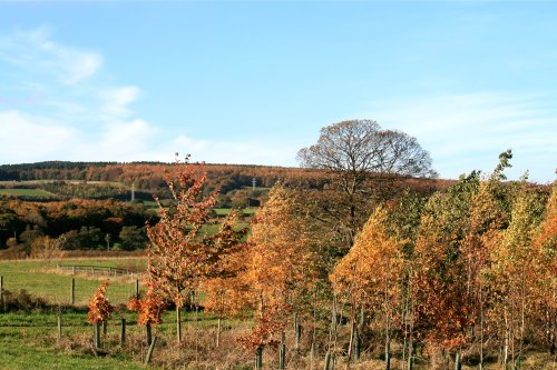 Gateshead Autumn.