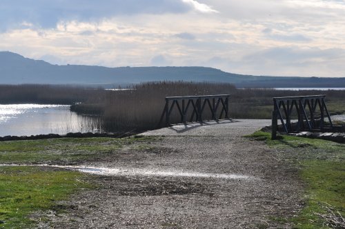 Stanpit Marsh