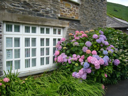 A house in the village of Boscastle