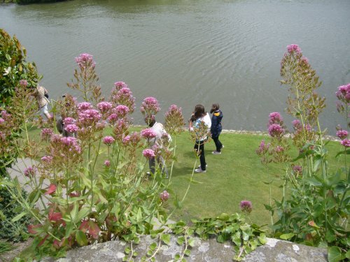 Park in the Leeds castle, summer 2010