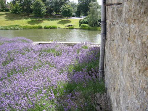 The Leeds castle, Kent