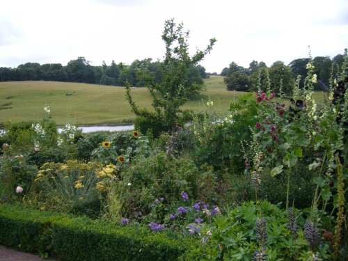 Park in the Leeds castle, Kent, 2010