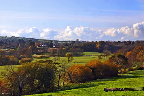 A circular walk from Shillingstone to Hanford.