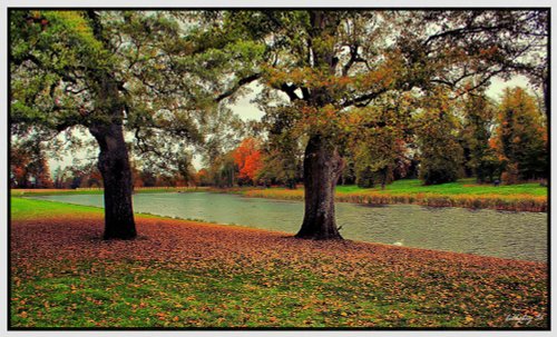 Autumn in Lydiard