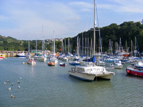 Ilfracombe Harbour