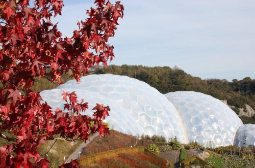 At the Eden Project