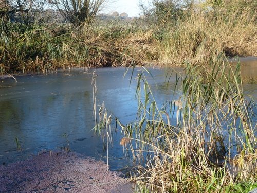 Frozen Canal