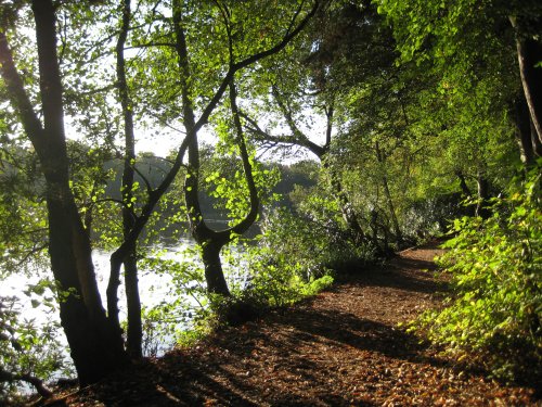 Hartsholme Park