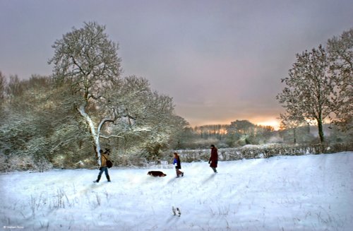 Stour Valley Winter, Shillingstone.