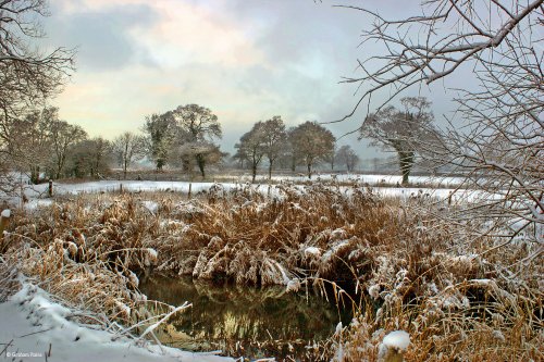 Stour Valley Winter, Shillingstone.