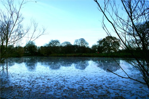 Nidd in winter.