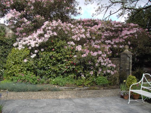 Garden Gate