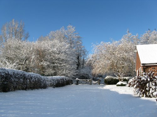 Snow scene