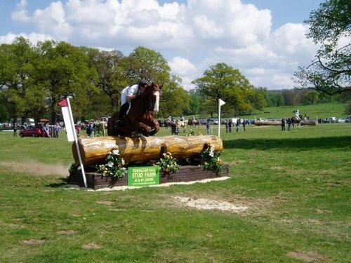 Horse trials