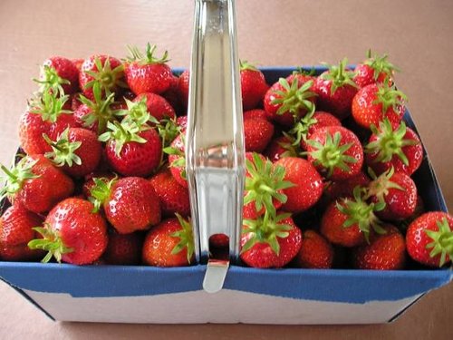 Freshly picked strawberries