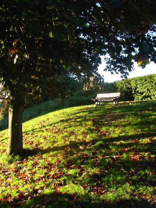 Bench in Autumn