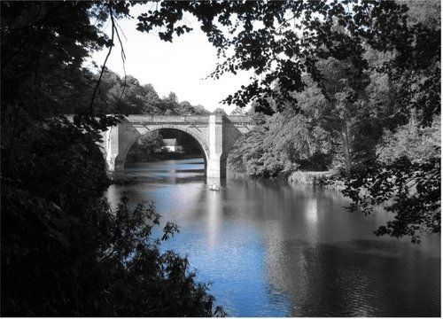 Rowers on the River