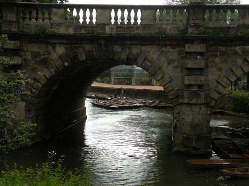 Wet Days Punting