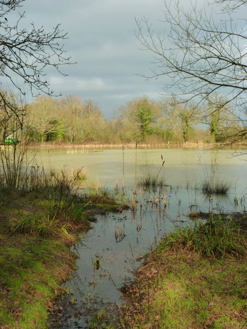 Fourwents Pond