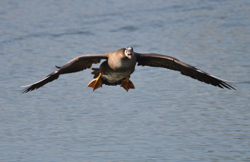 Final Approach