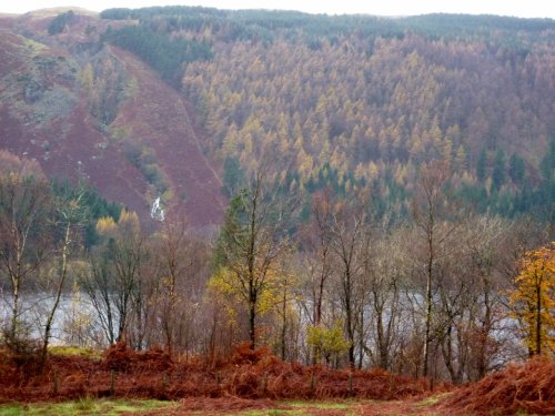 Many colours of Autumn