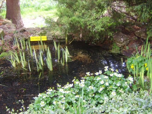 Pembroke College Gardens