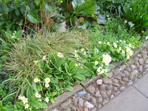 Pembroke College Gardens