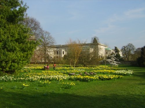 Pembroke College Gardens