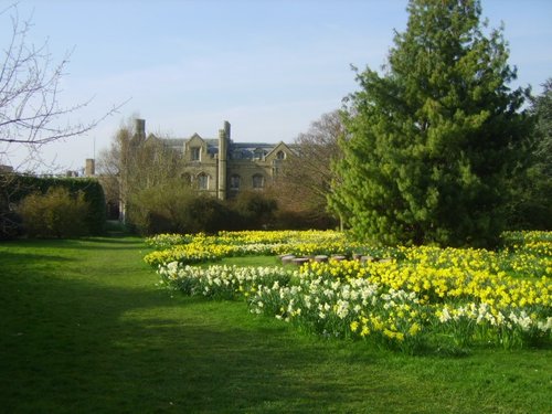 Peterhouse College Gardens