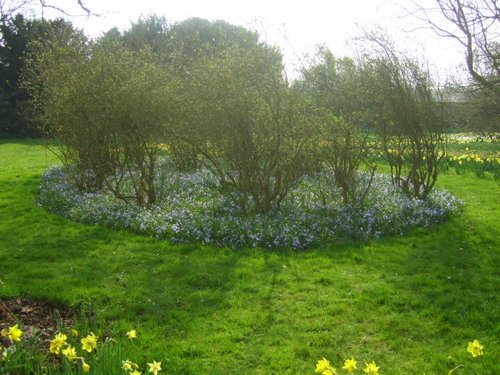 Peterhouse College Gardens